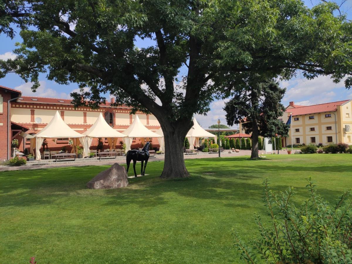 Hotel Sandro Silver & Spichlerz Antoniny Лешно Экстерьер фото