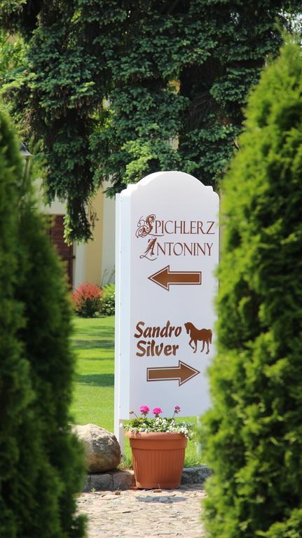 Hotel Sandro Silver & Spichlerz Antoniny Лешно Экстерьер фото